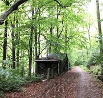 Waldgrundstück mit älterem Mischbewuchs - Aue-Bad Schlema