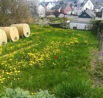Gartengrundstueck zu verpachten, 56761 Masburg - Kalt