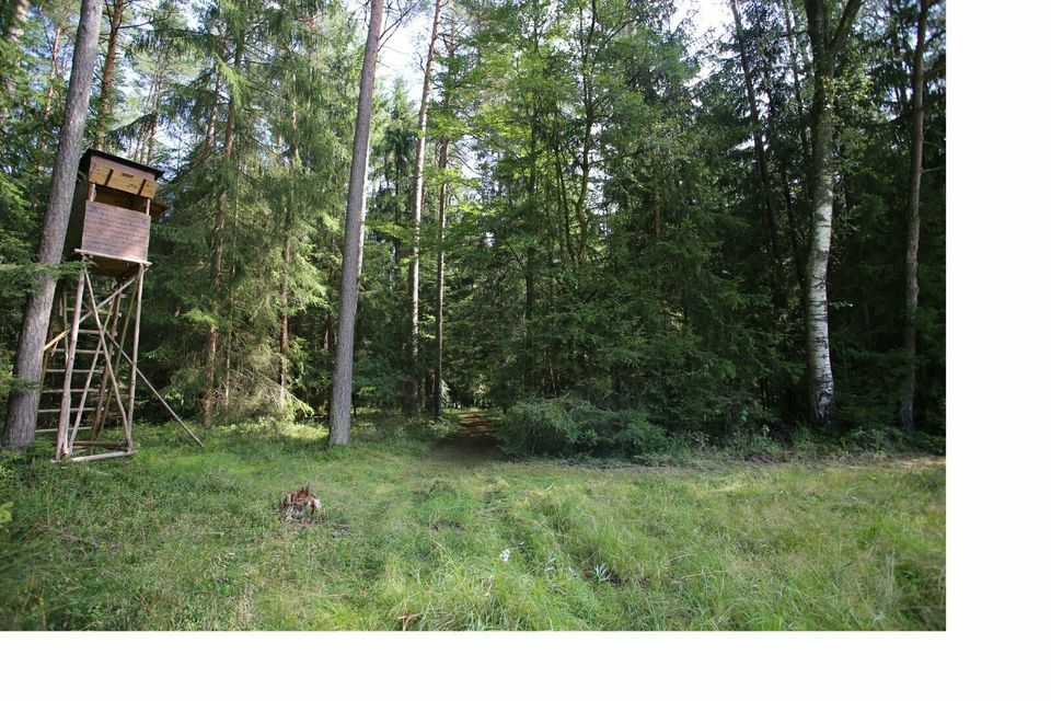 Waldflächen in Veldershof - 11,00 EUR Kaltmiete, ca.  0,00 m² in Lauf an der Pegnitz (PLZ: 91207)