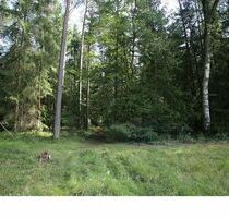 Waldflächen in Veldershof - 11,00 EUR Kaltmiete, ca.  0,00 m² in Lauf an der Pegnitz (PLZ: 91207)