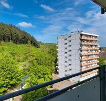 renovierte, sehr helle Zweizimmerwohnung in Gaggenau