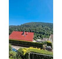 1,5 Zimmer Wohnung Calw-Hirsau - 530,00 EUR Kaltmiete, in Calw (PLZ: 75365)