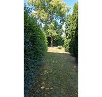 Grundstück in Leutenberg - 2.900,00 EUR Kaltmiete, ca.  0,00 m² in Kaulsdorf (PLZ: 07338)