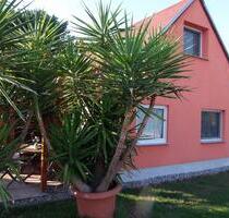 Ferienhaus Ferienwohnung Haus mit Boot - 31.08. bis 06.09.25 - Ketzin