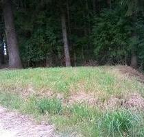 Kleines Grundstück am Waldrand zu vermieten,Bienenstandort - Neumarkt-Sankt Veit