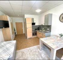 möblierte Wohnung nähe Stadtpark - Nürnberg Herrnhütte
