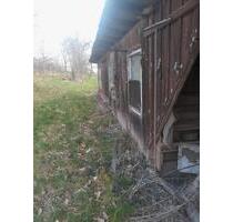 Hühnerstall - 35,00 EUR Kaltmiete, ca.  0,00 m² in Freudenstadt (PLZ: 72250)