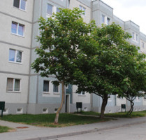 Familiäres Wohnen am Bürgerpark Harzblick - Wernigerode