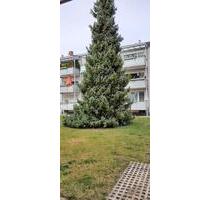 1-Zimmer Wohnung möbliert mit Küche, Balkon - Dachau