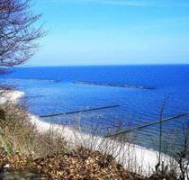 Kranichzug im Herbst, freie FeWo an der Ostsee - Barth