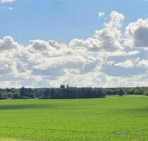 3 Raum Wohnung mit Weitblick und Garten - Greifswald Groß Schönwalde