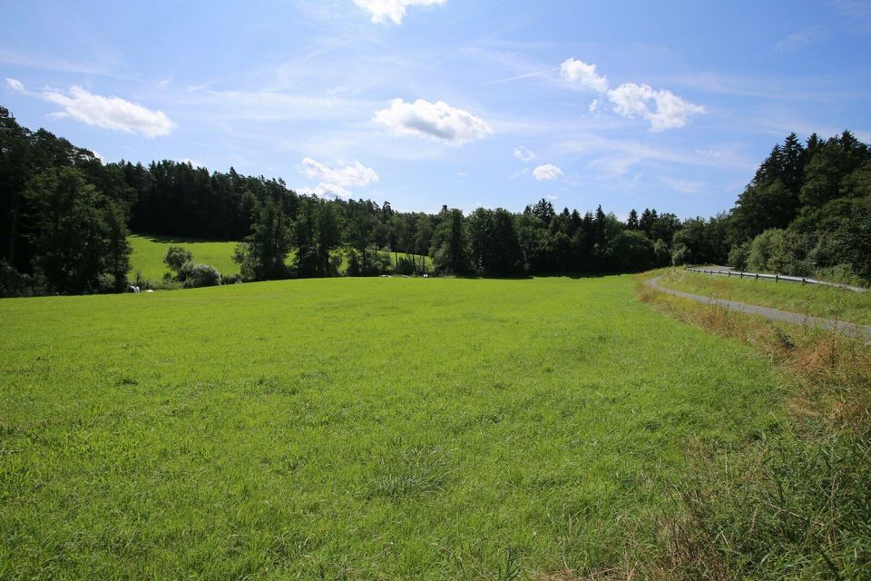 Landwirtschaftsteilflächen in Veldershof - Lauf an der Pegnitz