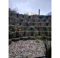 2-Zimmer-Wohnung Souterrain, Hohe Qualität - Fraunberg