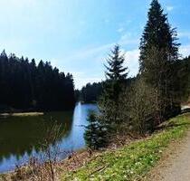 Gemütliche Ferienwohnung im Harz Braunlage OT St. Andreasberg - Goslar OS Hahnenklee-Bockswiese