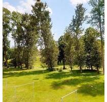 Lage, Lage, Lage.. - 337,00 EUR Kaltmiete, ca.  49,54 m² in Freiberg (PLZ: 09599)