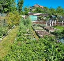Pachtgarten Leipzig Hoffnung West