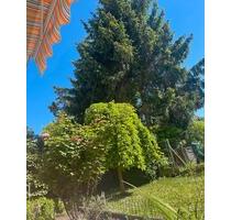 2 Zimmerwohnung mit Terrasse zur Zwischenmiete Untermiete - Stuttgart Bad Cannstatt