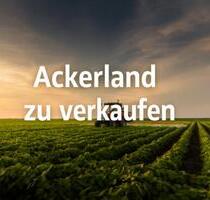 Knapp 2,5 ha. Ackerland in 23858 Stubbendorf - Reinfeld (Holstein)