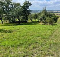 Wiese zum Pachten - 40,00 EUR Kaltmiete, ca.  0,00 m² in Ranstadt (PLZ: 63691)