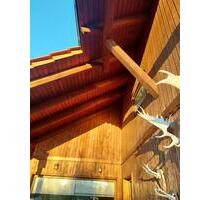 Sehr schönes Einfamilienhaus in Penig - Chemnitz Altendorf