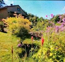 Garten, Laube, Kleingarten, Pachtgarten in Meißen Clausmühle e. V - Klipphausen