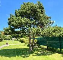 LAGE LAGE LAGE! Paradies zw Natur & Stadt 260qm WF+1620qm Garten - Witten Rüdinghausen
