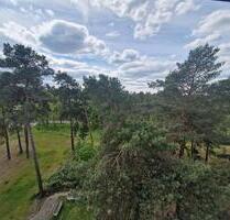 **BLICK INS GRÜNE**3-Zimmer-Wohnung Balkon DG Bad mit Wanne ab sofort - Cottbus Spremberger Vorstadt