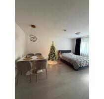 2 Zi.Wohnung mit Terrasse in Ellwangen frei ab 1 April 2026 - Ellwangen (Jagst)