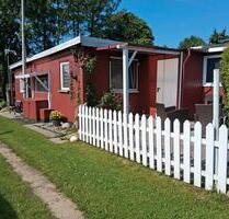 Tiny-House in Bestlage, Ihr neues Zuhause direkt am Waldesrand - Homberg (Ohm)