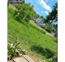 Gartenfläche innerorts günstig zu verpachten - Klingenmünster