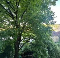 Citynahes, ruhiges Single-Apartment mit EBK und Fernblick - Wuppertal Barmen