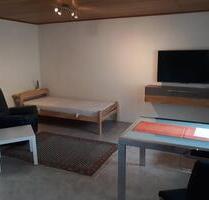 1 Zimmer - Appartement für Berufspendler Zeitwohnung - Lampertheim