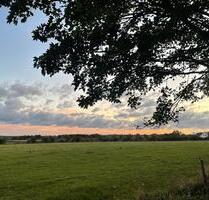 Vermietung eines Reihenhauses - 1.780,00 EUR Kaltmiete, ca.  135,00 m² in Dortmund (PLZ: 44339) Eving