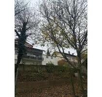 Garten in Hoffenheim - 50,00 EUR Kaltmiete, ca.  0,00 m² in Sinsheim (PLZ: 74889)