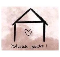 Wohnung Haus 3-4 Zimmer Max 1600€ WARM - Berlin Spandau