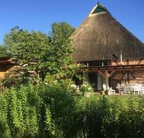 Provisionsfrei: Liebevoll saniertes Fachwerkhaus mit Reet - Nusse