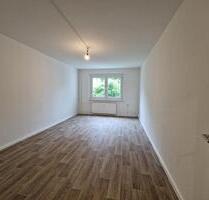 2 Monatsmieten sparenFrisch renovierte große 1-Zimmer-WohnungHochparterreWannenbad - Leipzig West