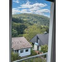 4 Zimmer Dachgeschoss-Wohnung in ruhiger Lage - Neckargemünd