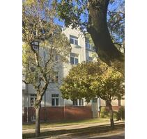 Erstbezug nach Komplettrenovierung!! Wunderschöne DG-Wohnung in toller grüner LageNordvorstadt - Zwickau Zwickau-Nord