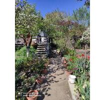 Schöner Pachtgarten in Holleben abzugeben. - Teutschenthal