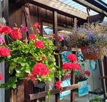 wunderschöner Garten in Güstrow Kleingartenverein am barlachweg - Neubrandenburg Carlshöhe