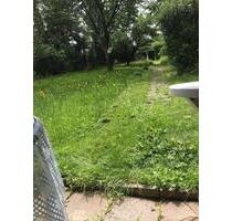 Garten in OF Bürgel gegen Abstand abzugeben - Offenbach am Main