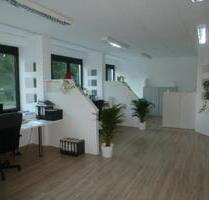 VERMIETE BÜROS ab 15m² und LagerHallen ab 100m² - 2500m² - Sasbach