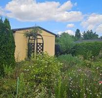 Garten mit Laube in einem Kleingartenverein (Pacht) abzugeben - Leipzig Altwest