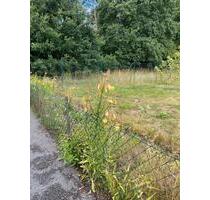 Kleingarten Schrebergarten - 500,00 EUR Kaltmiete, ca.  0,00 m² in Meine (PLZ: 38527)