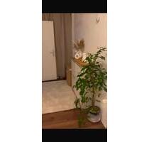 ‏MiteWohnung - 1.000,00 EUR Kaltmiete, in Remagen (PLZ: 53424)