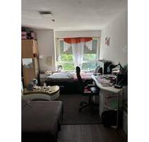 Gemütliches 1-Zimmer-Apartment in Ludwigshafen-Mitte - Ludwigshafen am Rhein