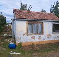 Wir geben unseren 2. Garten ab... - Magdeburg Alt Olvenstedt