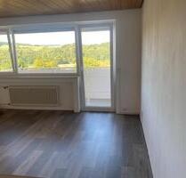 1 Zimmer-Wohnung- Möblierte Apartments von privat zu vermieten - Bad König