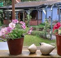 Provisionsfrei: Charmantes Wohn-Ferienhaus auf Eigentumsland - Bienenbüttel